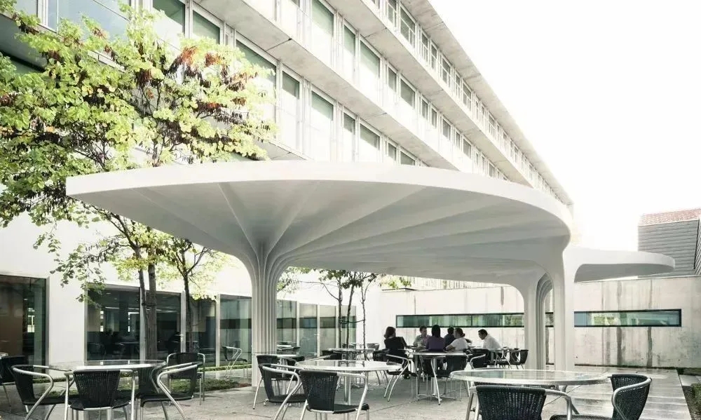 640.webp (4).jpg 640.webp (4).jpg