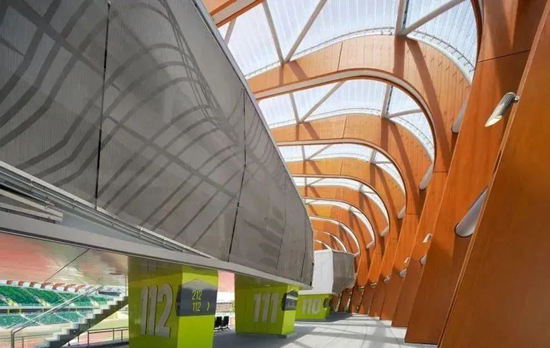 膜結構見證中國男子田賽首冠