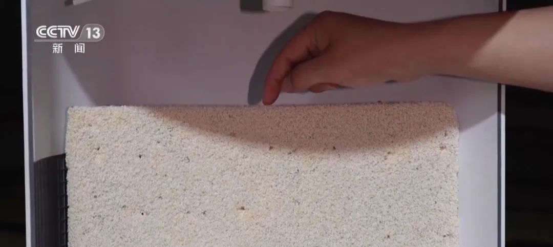 我國首批糧食【氣膜倉】正式投運 我國首批糧食【氣膜倉】正式投運