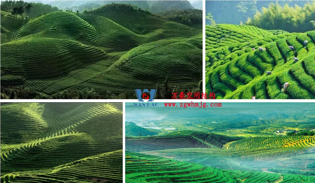 博多森谷項目中庭etfe膜結(jié)構(gòu)工程 博多森谷項目中庭etfe膜結(jié)構(gòu)工程