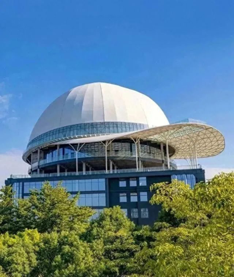 奇葩，好大一頂帽子