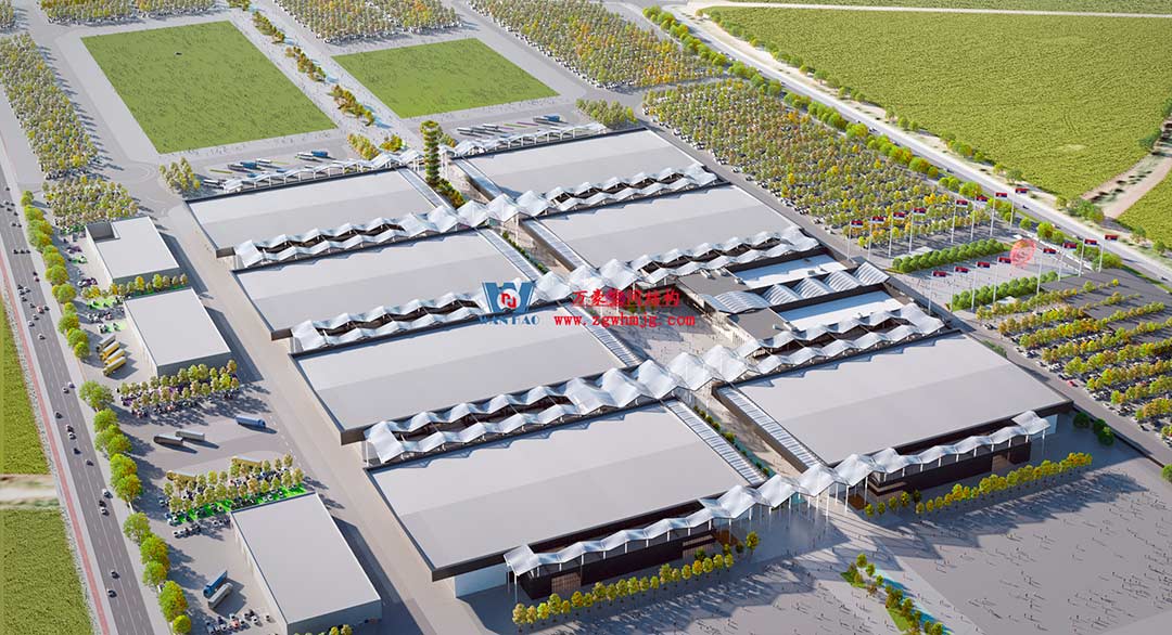 深化合作，推進新時代中塞友誼建設(shè)